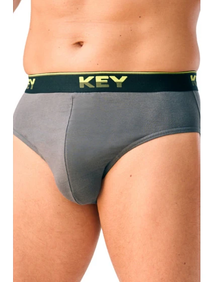 PÁNSKÉ MPP B26 model 22300605 - Key PÁNSKÉ MPP B26 model 22300605 - Key