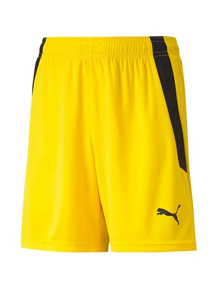 teamLIGA Shorts Jr model 21367923 07 - Puma