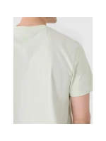 Pánské tričko s potiskem 4F 4FRAW24TTSHM2603-47S