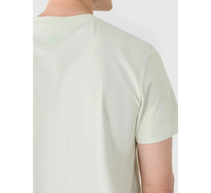 Pánské tričko s potiskem 4F 4FRAW24TTSHM2603-47S