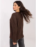 Sweter RV SW model 21789123 brązowy - FPrice