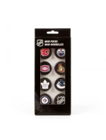 Inglasco NHL Mini Pucks suvenýr Inglasco NHL Mini Pucks suvenýr