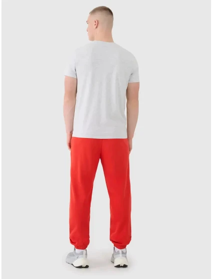 Pánské tepláky 4F Pánské tepláky 4F