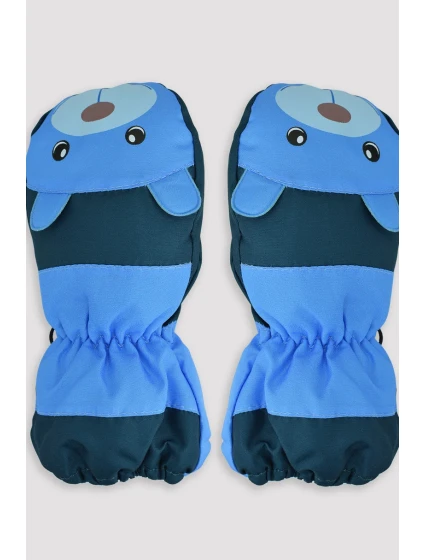 LYŽAŘSKÉ RUKAVICE RN038 LYŽAŘSKÉ RUKAVICE RN038