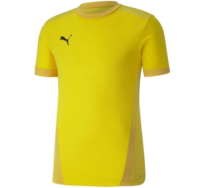 Puma teamGOAL 23 Jersey M 704171 07 pánské dresy