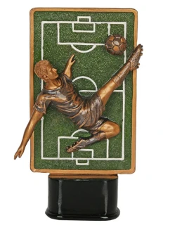 Fotbalová model 21364453