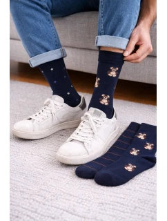 Pánské ponožky Premium A'3 model 20826735 - Cornette