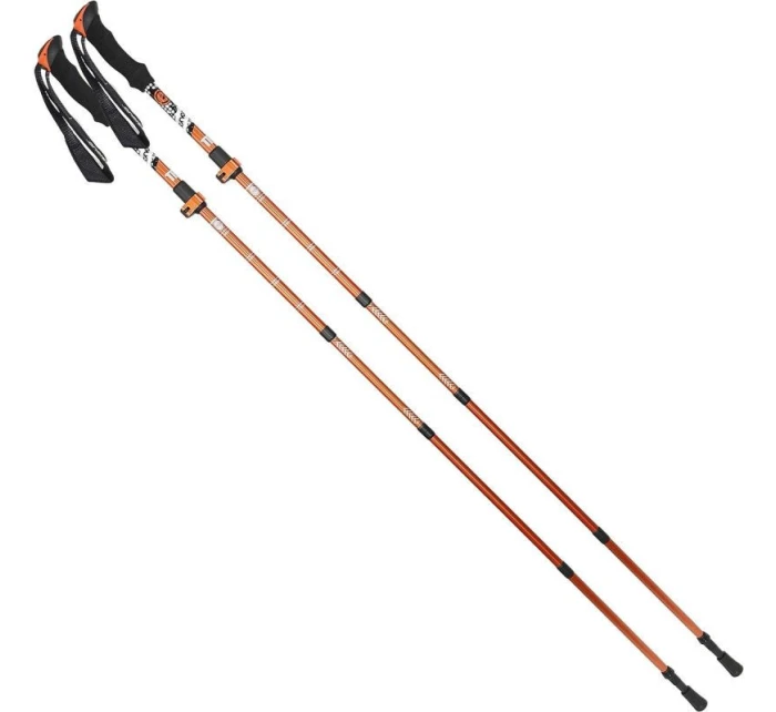 V PRO model 21826676 - Enero V PRO model 21826676 - Enero