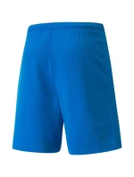 SPORT Pánské šortky teamRISE Short model 21822080 02 Světle modrá - Puma SPORT Pánské šortky teamRISE Short model 21822080 02 Světle modrá - Puma