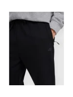 Pánské tepláky typu jogger 4F 4FRMM00TTROM1624-20S