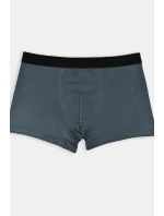 PÁNSKÉ BOXERKY PREMIUM BB005 PÁNSKÉ BOXERKY PREMIUM BB005