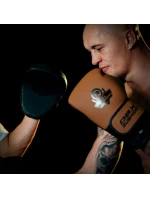 kožené boxerské rukavice Legacy Series | DBX model 21733664 - DBX Bushido kožené boxerské rukavice Legacy Series | DBX model 21733664 - DBX Bushido