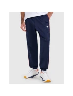 Pánské tepláky typu jogger model 21815748 - 4F Pánské tepláky typu jogger model 21815748 - 4F