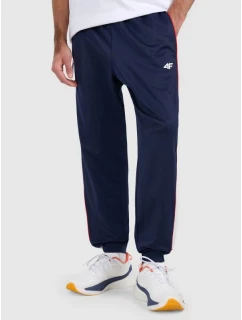 Pánské tepláky typu jogger model 21815748 - 4F