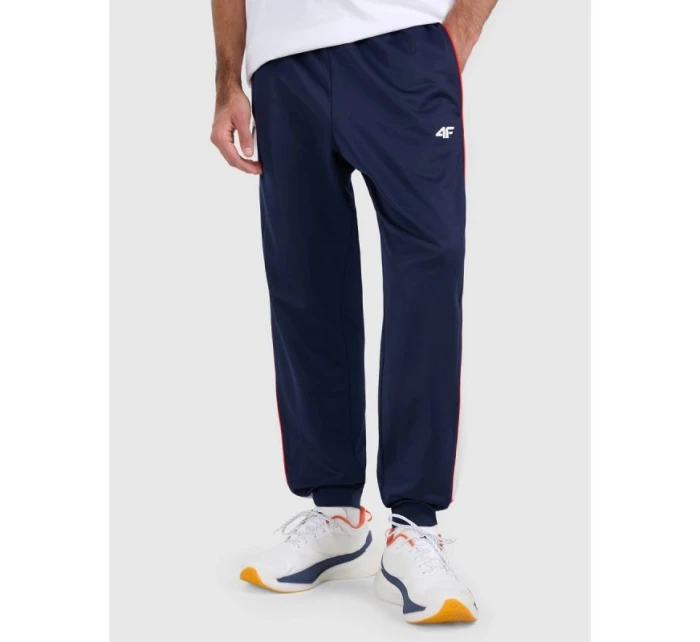 Pánské tepláky typu jogger model 21815748 - 4F Pánské tepláky typu jogger model 21815748 - 4F