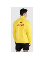 Pánská tréninková mikina s kapucí model 22117526 pánské - 4F