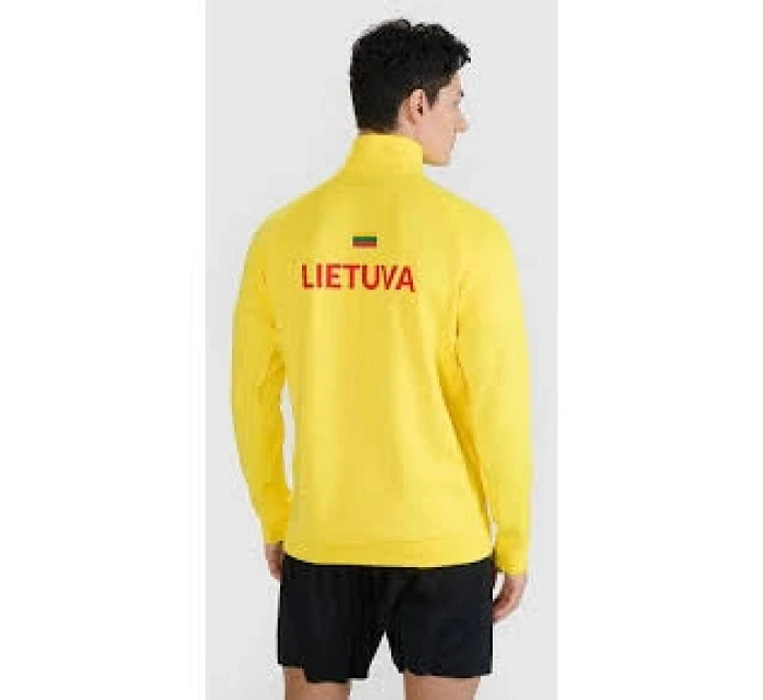 Pánská tréninková mikina s kapucí model 22117526 pánské - 4F