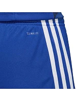 Pánské šortky Tastigo 19 M DP3682 - Adidas Pánské šortky Tastigo 19 M DP3682 - Adidas