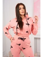 Sada s potiskem pistole meruňková Sada s potiskem pistole meruňková