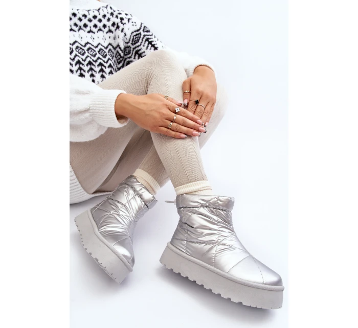 Dámské sněhule na masivní platformě stříbrné Fionia Dámské sněhule na masivní platformě stříbrné Fionia