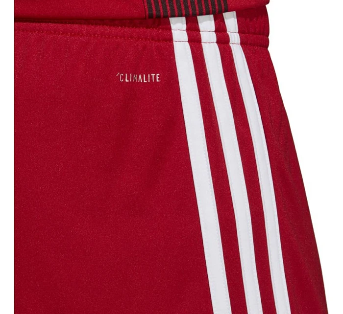 Pánské šortky Tastigo 19 DP3681 - Adidas