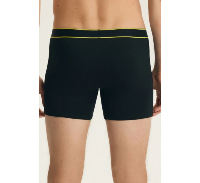 PÁNSKÉ ŠORTKY BEE 2PAK LONG 44555 SS26