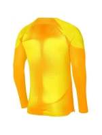Pánský brankářský dres Gardien IV  JSY M DH7967 719 - Nike 
