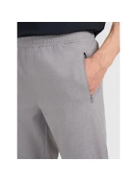 Spodnie  męskie model 21460734 - 4F