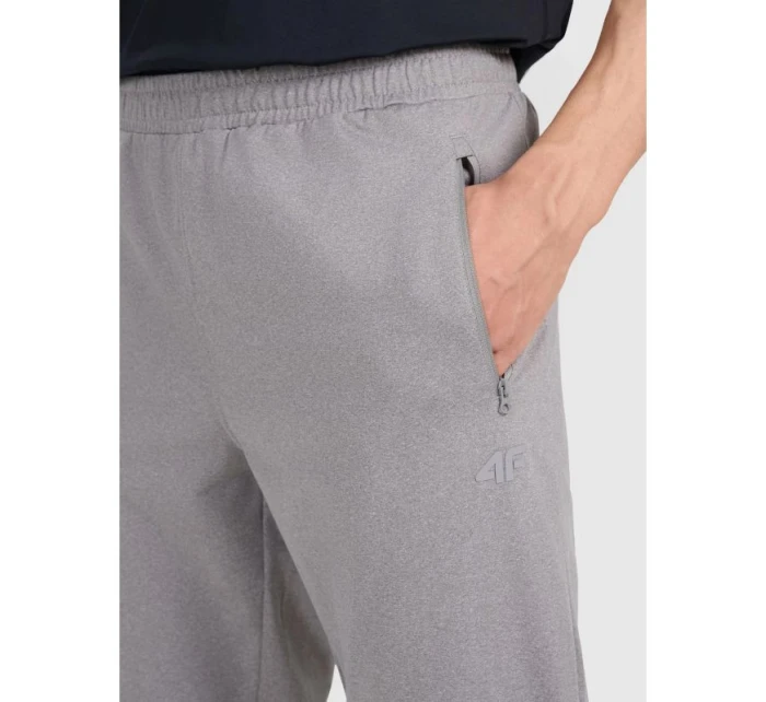 Spodnie  męskie model 21460734 - 4F