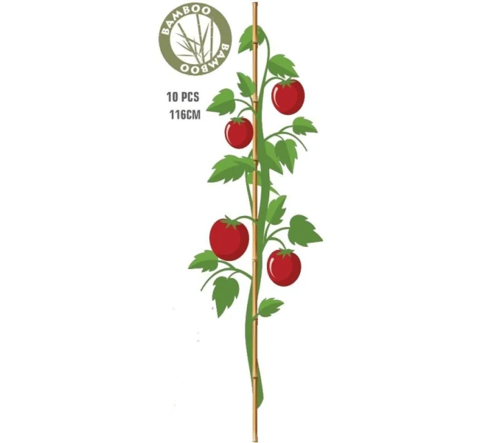 BAMBUSOVÁ TYČ NA PODPORU ROSTLIN 116 CM 10KS PROGARDEN