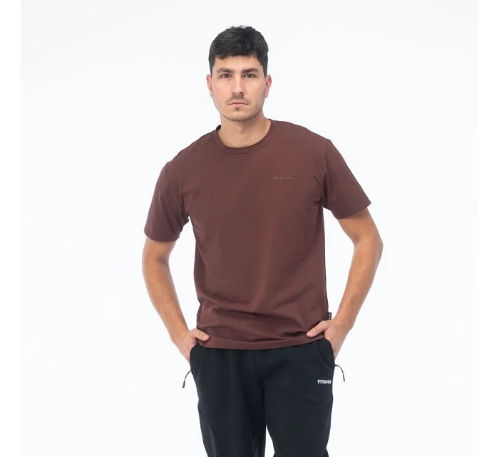 Pánské tričko s krátkým rukávem model 22056474 - Fitanu