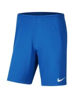 Pánská obuv Dry Park III NB M BV6855 463 - Nike