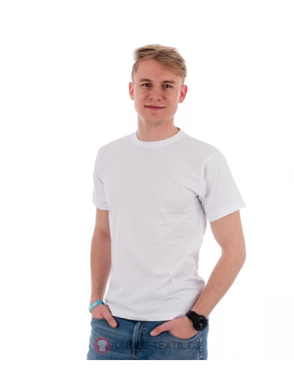 Pánské tričko Basic 12900 Bílá - Malfini