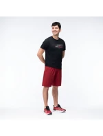 Pánské šortky model 21357277 - IQ