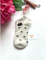 model 22021227 - Magnetis