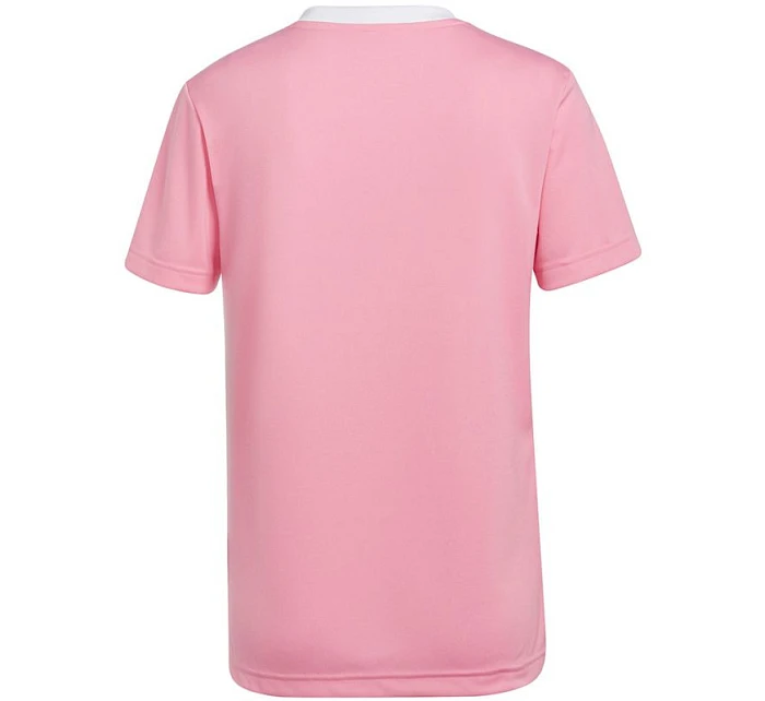 Dámský dres Entrada 22 W model 17104910 - ADIDAS