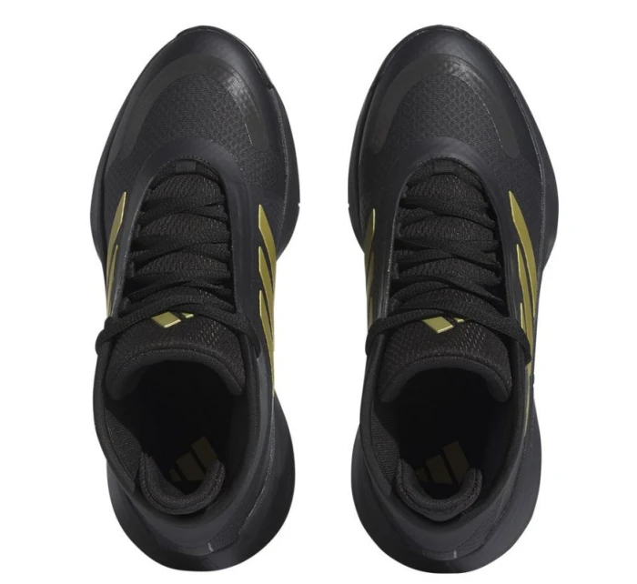 Basketbalová obuv adidas Bounce Legends M IE9278