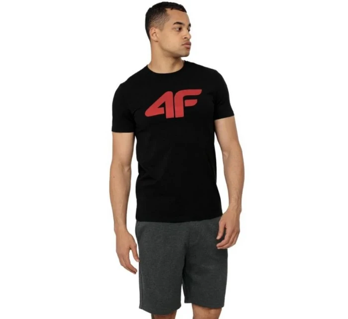 Pánské tričko M H4Z22 TSM353 21S - 4F