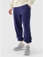 Pánské tepláky 4F Pánské tepláky 4F