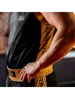 Boxerské tričko model 21438651 GOLD - DBX Bushido