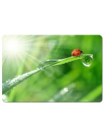 Esperanza Foto Mix podložka pod myš EA133