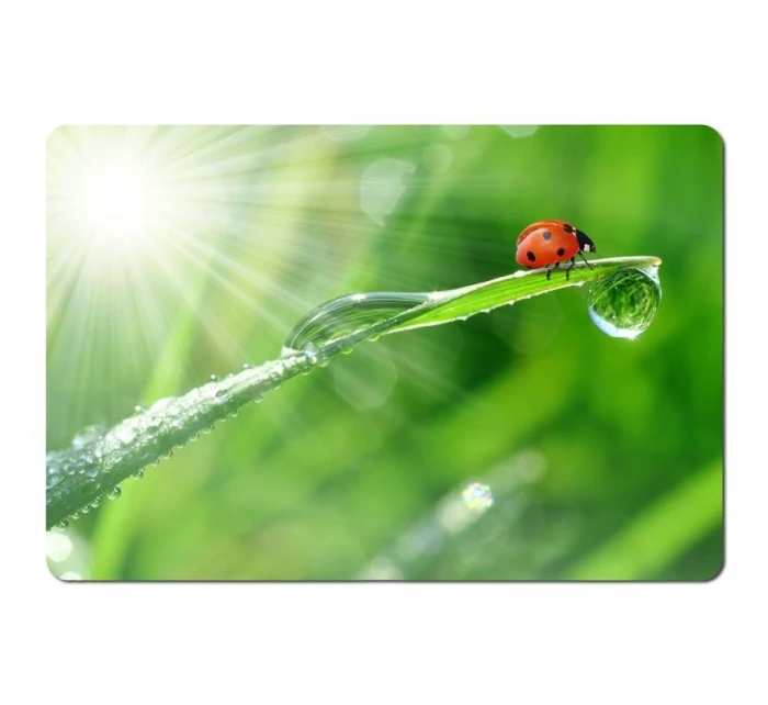 Esperanza Foto Mix podložka pod myš EA133