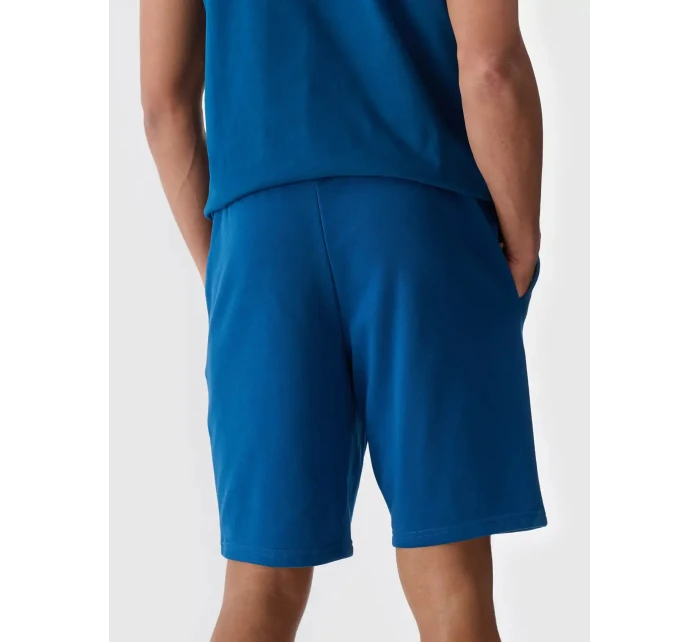 Pánské kraťasy 4F Pánské kraťasy 4F