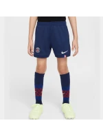 Nike PSG 2025/2026 Stadium Home set HJ5626-411