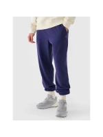 Pánské tepláky typu jogger 4F 4FWMM00TTROM1139-31S