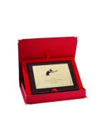 Plastový diplom s vyrytou kovovou destičkou + pouzdro