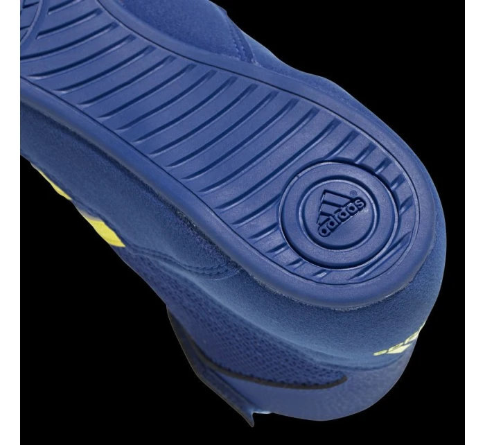 BOTY HAVOC BOTY HAVOC