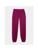 Dámské tepláky typu jogger model 21432820 - 4F Dámské tepláky typu jogger model 21432820 - 4F