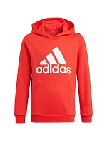 Dětská mikina Essentials Big Logo Hoodie Jr GN4037 - Adidas