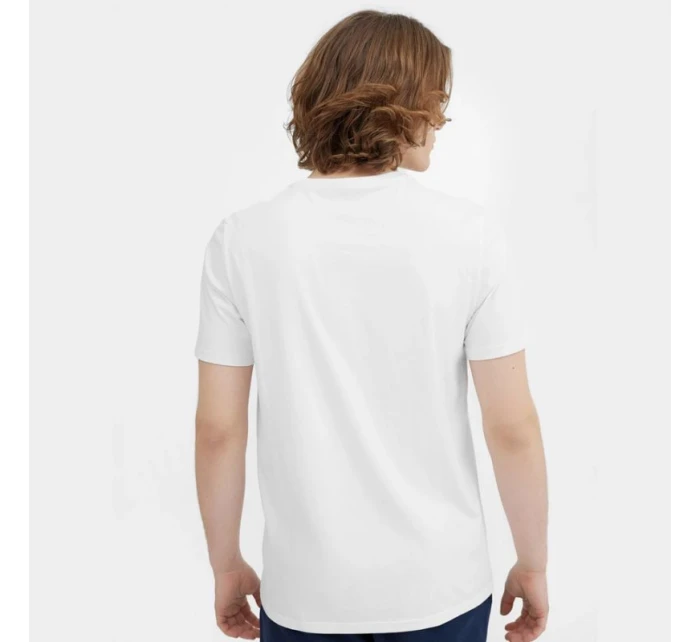 Pánské tričko M 4FSS23TTSHM537 10S - 4F Pánské tričko M 4FSS23TTSHM537 10S - 4F